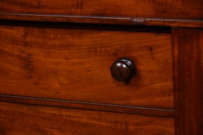 Victorian Mahogany Wellington Chest With Side Cupboards SAI3636 - Image 7