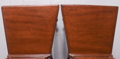 Elegant Pair of George III Mahogany Hall Chairs - Image 6