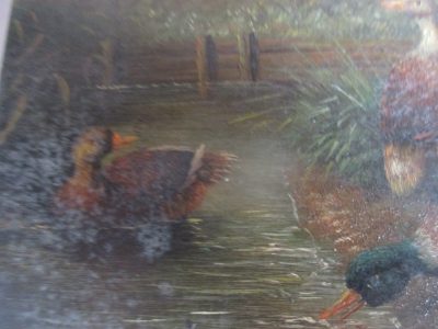 OIL PAINTING OF DUCKS ON WOOD EDWARDIAN   12 CM BY 17 CM SIGNED HAINSTER OR NAINSTER - Image 3