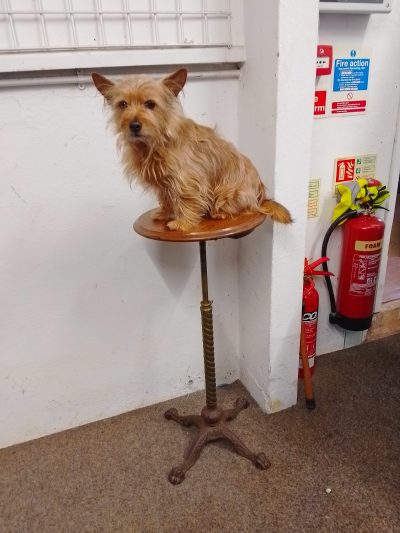 Antique Cast Iron Base Adjustable Table - Image 4