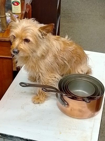 Antique Set of 5 Copper Saucepan's - Image 4