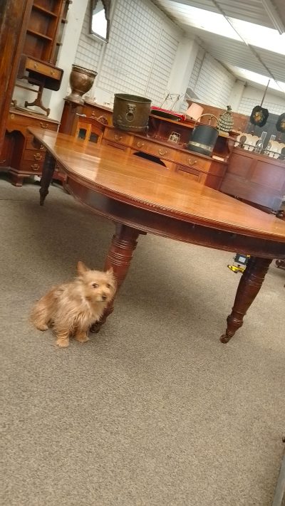 Large Antique Victorian Oak Dining Table Seats 10 - Image 6