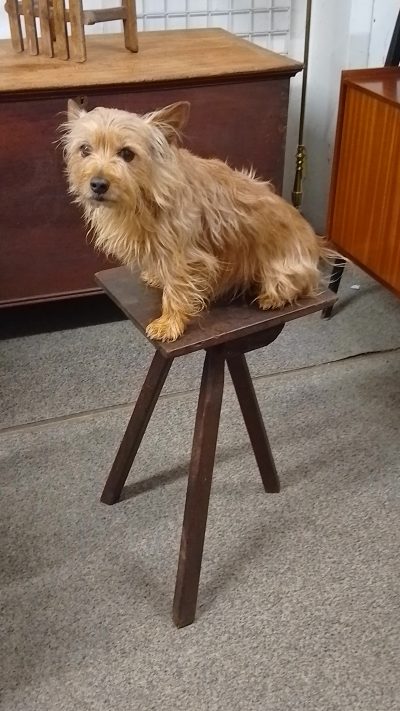 Antique Rustic Stool - Image 2