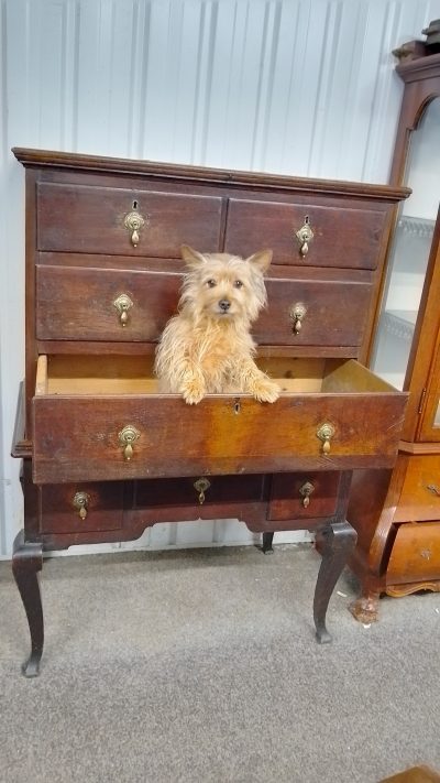 Antique Oak Chest on Stand - Image 2