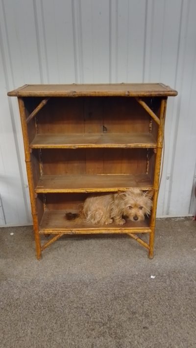 Small Antique 1920's Bamboo Bookcase - Image 3