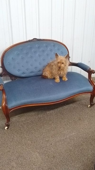 Beautiful Small Antique Victorian Settee Sofa - Image 3