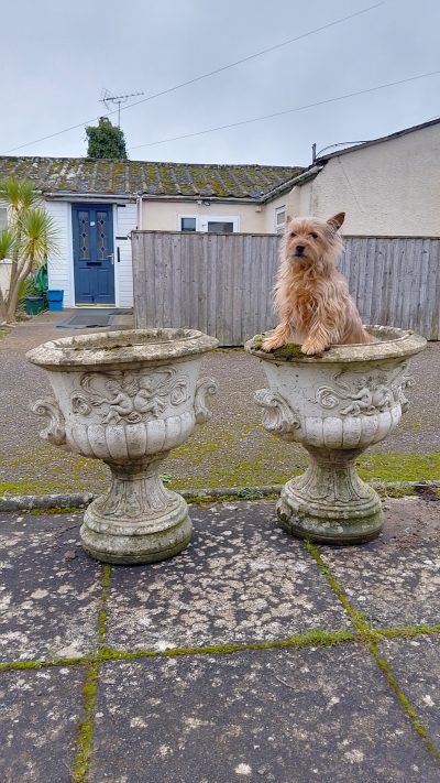 Good 1920's Pair of Garden Urns - Image 6