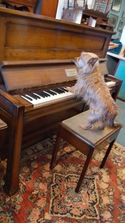 Arts & Crafts Beghstein Piano - Image 5