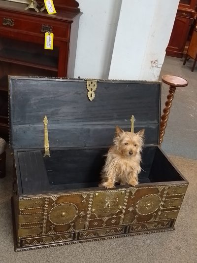 Good Antique 19thC Zanzibar Box Chest - Image 5