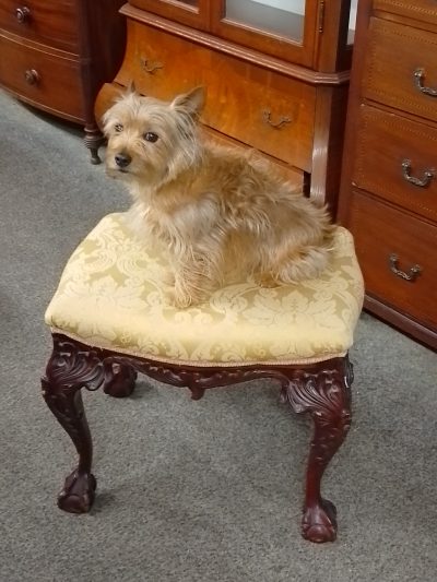 Good Antique Victorian Chippendale Style Victorian Stool - Image 3