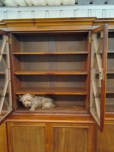 Large Antique Breakfront Library Bookcase - Image 9