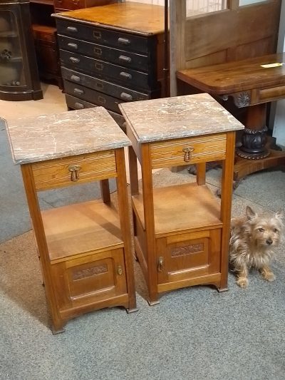 Good Antique Pair of Oak Bedside Table Cabinets - Image 2