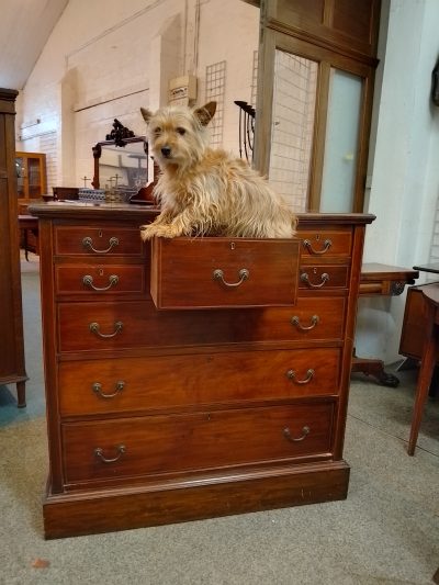 Antique Edwardian Chest of Drawers - Image 7