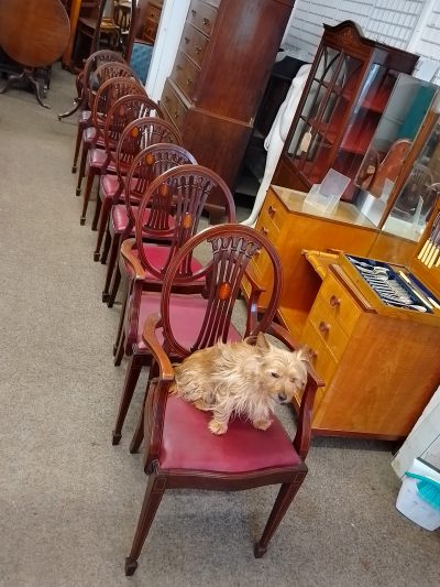 Good Antique Set of 8 Hepplewhite Dining Chairs - Image 2