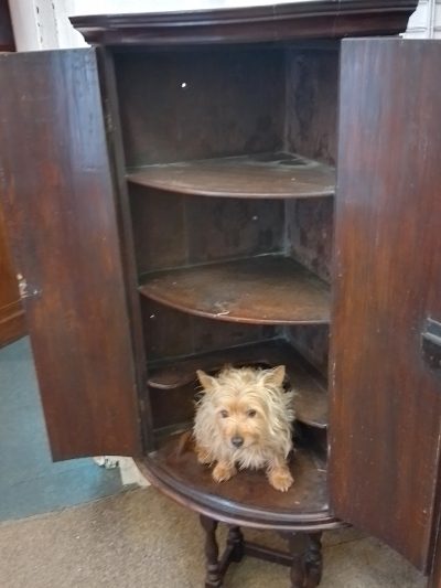 Antique Georgian Bow Front Hanging Corner Cupboard - Image 7