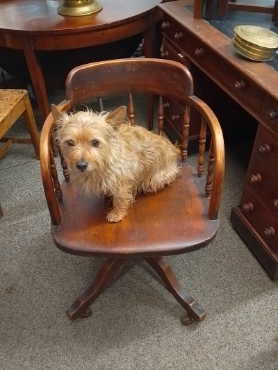 Antique Edwardian Oak Revolving Office Desk Armchair - Image 4