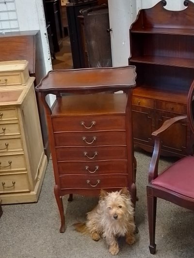 Edwardian Music Filing Cabinet - Image 3