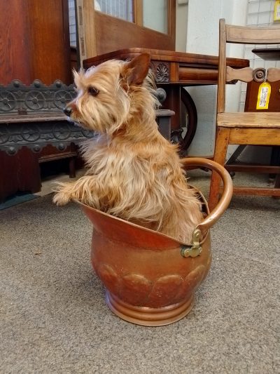 Antique Copper Coal Scuttle - Image 6