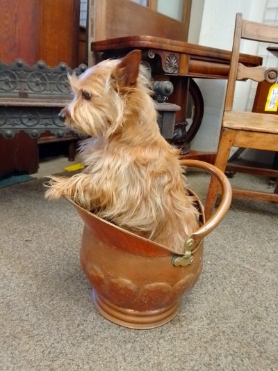 Antique Copper Coal Scuttle - Image 5