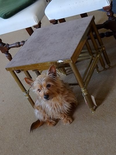 Good Antique 1930's Brass Nest of Tables - Image 11