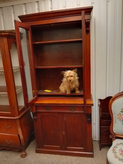 Small Antique Victorian 2dr Bookcase - Image 6