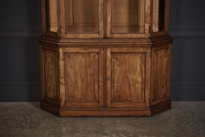 Rare Antique Mahogany Glazed Display Cabinet - Image 4