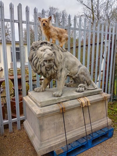 Large Pair of Garden Lion's - Image 3